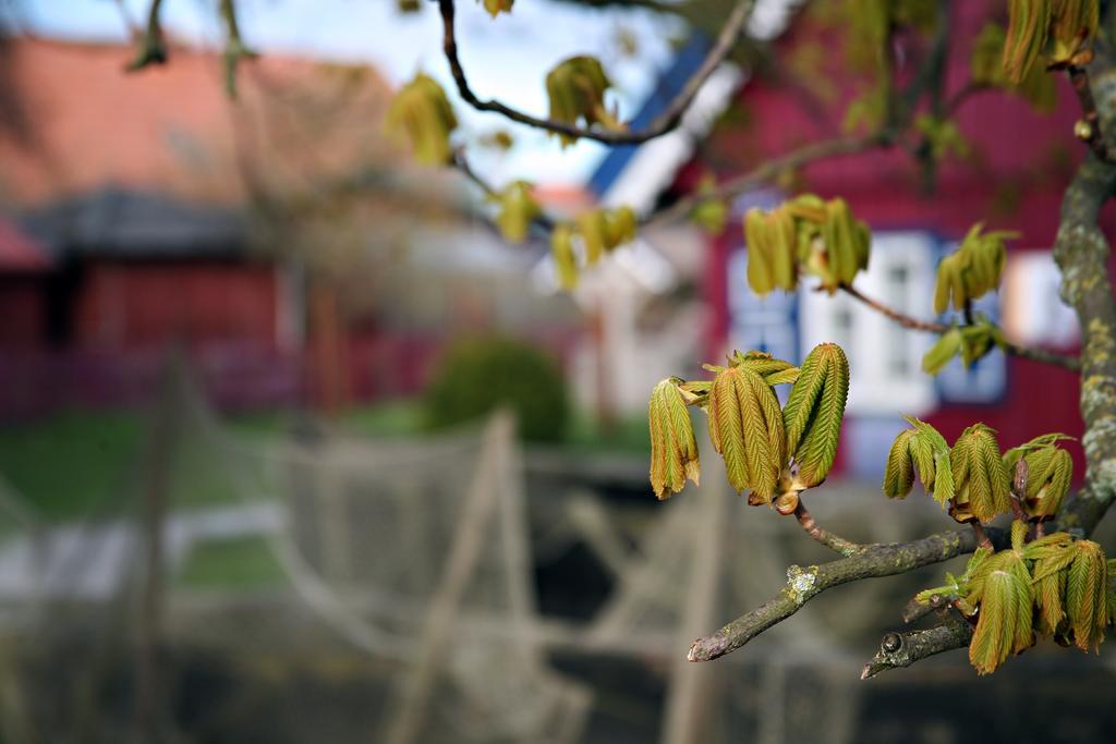 Holiday Terrace Nida Luaran gambar